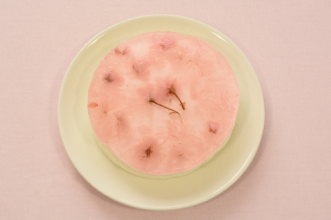 桜レアチーズケーキ