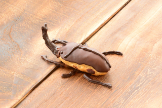 カブトムシのエクレア