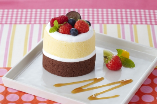 ダブルロールプレート